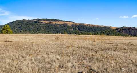 Mountain Creek Drive, Cle Elum, WA 98922