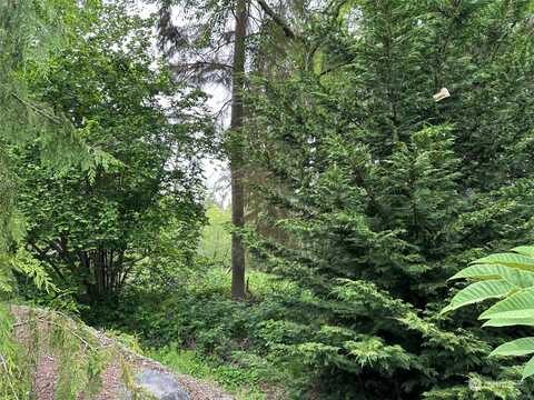 Nooksack Drive, Fox Island, WA 98333