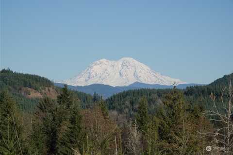 Salmon Creek Rd, Mossyrock, WA 98564