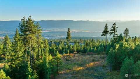 Lot 10 Forest Ridge Drive, Cle Elum, WA 98922