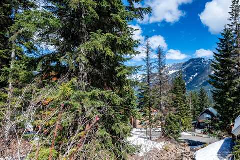 Xx Arlberg Place, Snoqualmie Pass, WA 98068