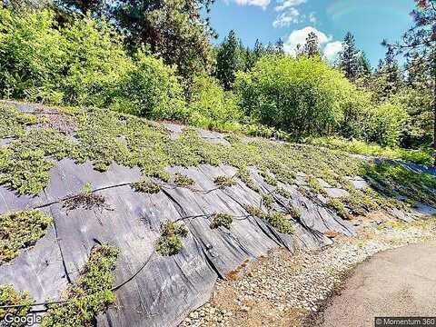 Embroden Street, Leavenworth, WA 98826