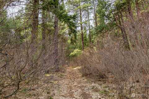 Chumstick Hwy, Leavenworth, WA 98826