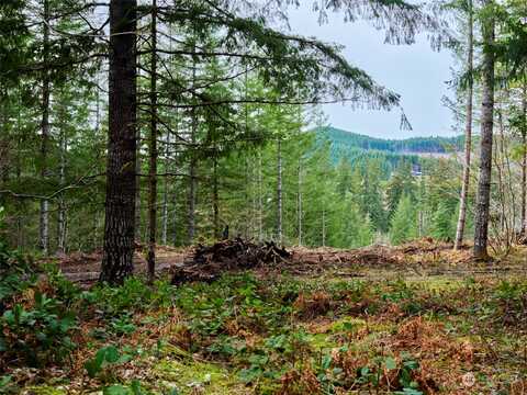 Lahar Lane, Cougar, WA 98616