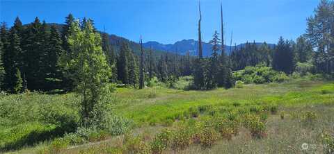 Yellowstone Trail Road, Snoqualmie Pass, WA 96068