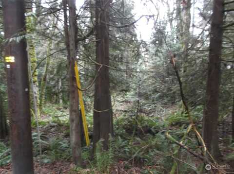 Xxx Vacant Land (Lots A & B), Kingston, WA 98346