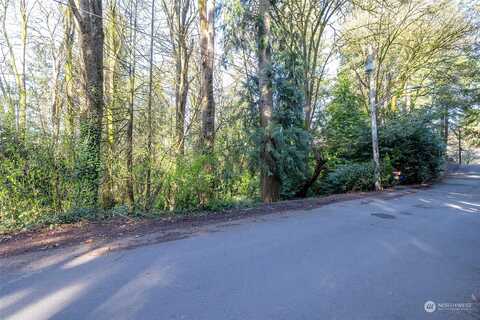 Xxx (Lot C) Lovell Avenue Sw, Bainbridge Island, WA 98110