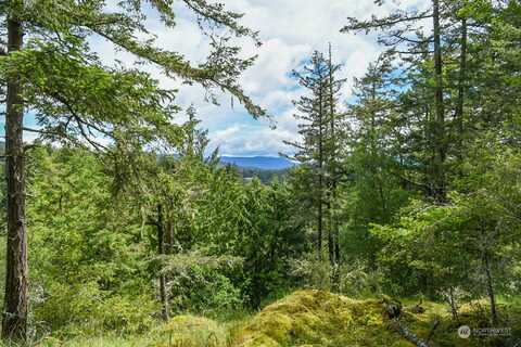 Xx Spring Point Road, Orcas, WA 98243