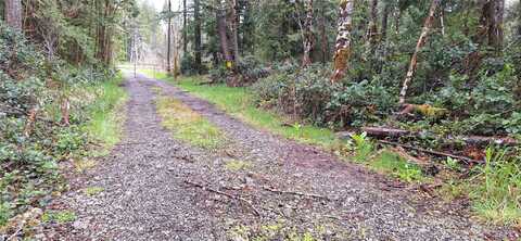 Wright Road, Tenino, WA 98589