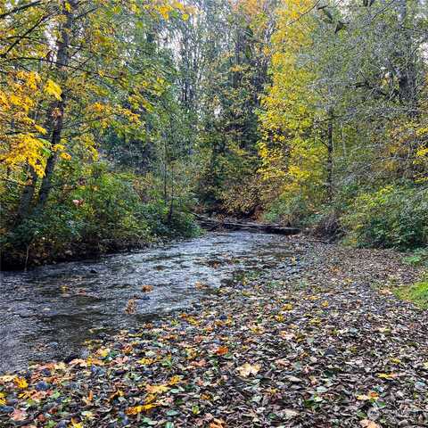 Wildwood Road, Quilcene, WA 98376