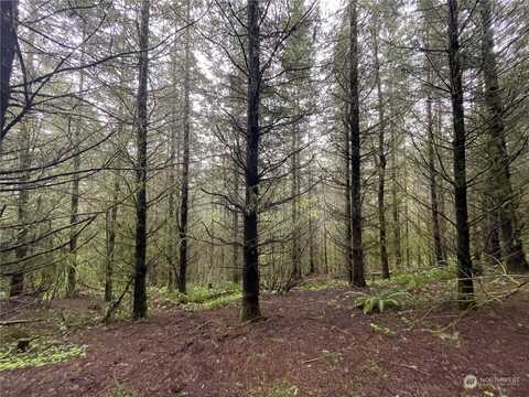 Weyerhaeuser Road, Kalama, WA 98625