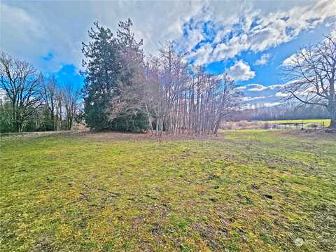 Van Buren Road, Everson, WA 98247