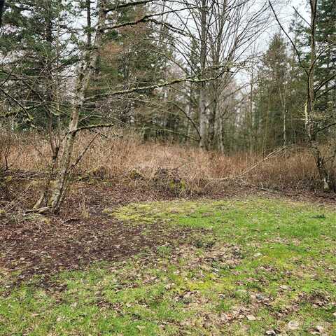 Valley View Lot 2 Road, Ferndale, WA 98248