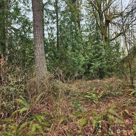 Vacant Land, Maple Valley, WA 98038