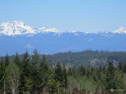 Tract C1 Johnson Ridge Road, Belfair, WA 98528