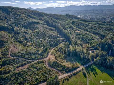 Tract 1 South Valley Rd, Naselle, WA 98638