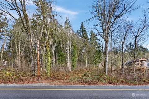 Tiger Mountain Rd, Issaquah, WA 98027