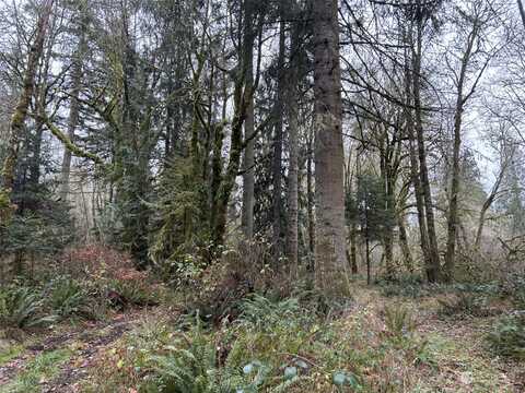 Thompson Creek Rd, Tenino, WA 98589