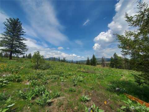 Tbd Landers Road, Malott, WA 98829