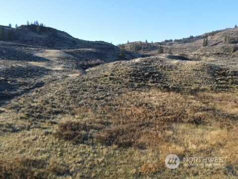 Tbd Horse Spring Coulee Road, Tonasket, WA 98855