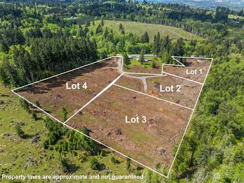 Spirit Lake Highway Unit Lot 2, Castle Rock, WA 98611