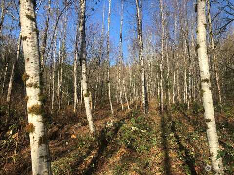 Se Courtney Road, Ravensdale, WA 98051