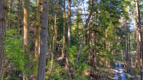 Schruder Road, Lopez Island, WA 98261