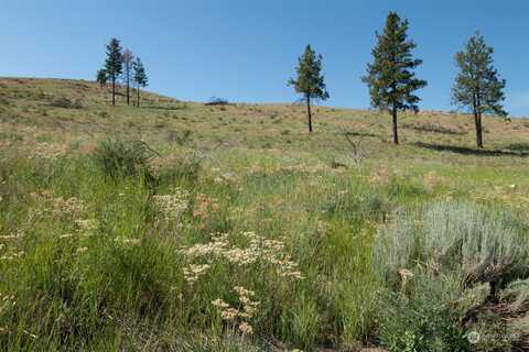 Sawtooth View Road, Methow, WA 98846