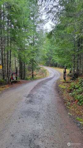 Sasquatch Lane Unit Lot#1, Packwood, WA 98937