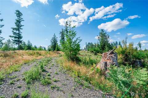 S Silver Lake Road Unit Lot 8, Castle Rock, WA 98611