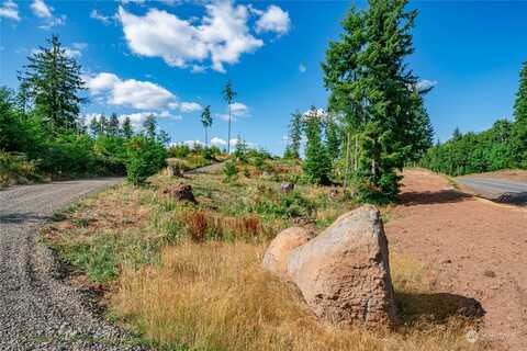 S Silver Lake Road Unit Lot 7, Castle Rock, WA 98611