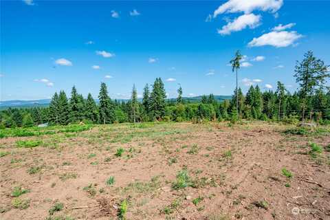 S Silver Lake Road Unit Lot 6, Castle Rock, WA 98611