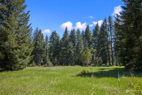 Lot 3 Nelson View Way, Cle Elum, WA 98922