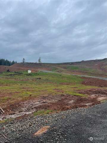 Olequa Heights Lot J Road Unit Rd, Castle Rock, WA 98611