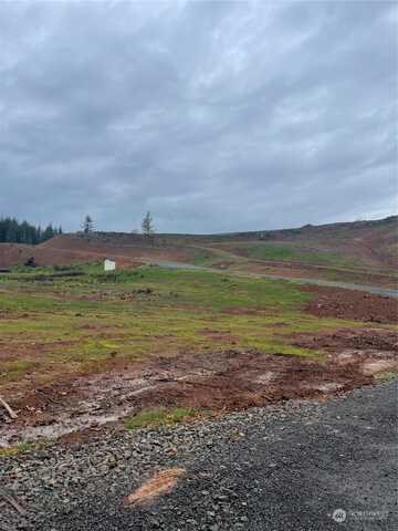 Olequa Heights Lot J Road Unit Rd, Castle Rock, WA 98611