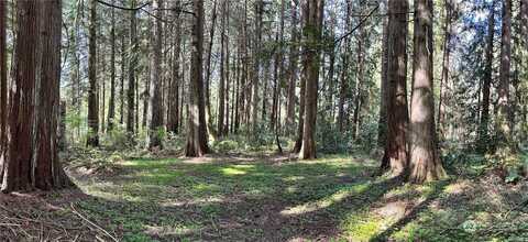 Nw Lakeness Unit Lot 31, Poulsbo, WA 98370