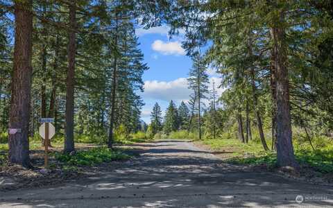 Nvlot 2 Nelson View Way, Cle Elum, WA 98922