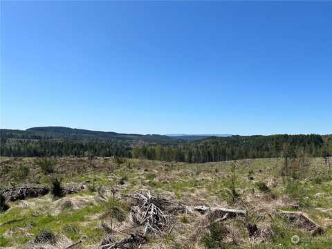 Nka Cedar Creek Road, Toledo, WA 98651