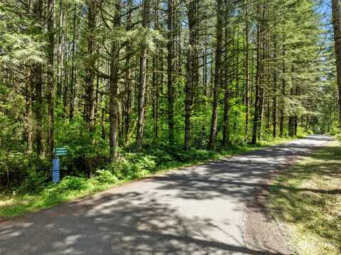 Ne Moss Creek Way, Carnation, WA 98014