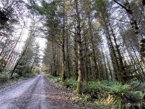 Na Oak Point Road, Longview, WA 98632