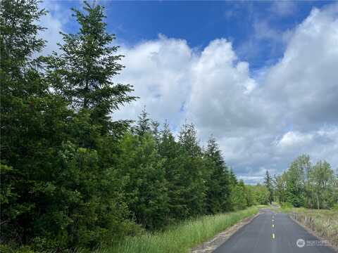 Na Finkas Road, Toutle, WA 98649