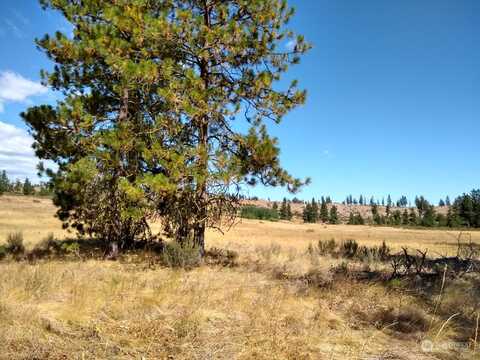 Lower Hooker Creek Road, Brewster, WA 98812