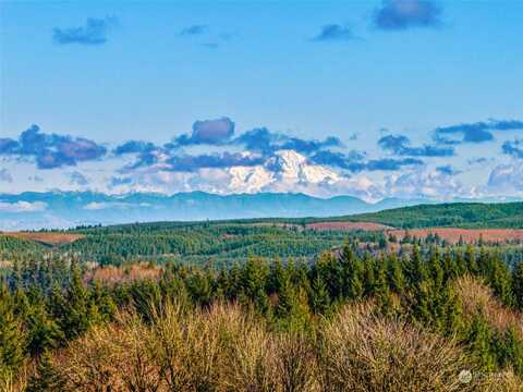 Lot N Olequa Heights Road, Castle Rock, WA 98611