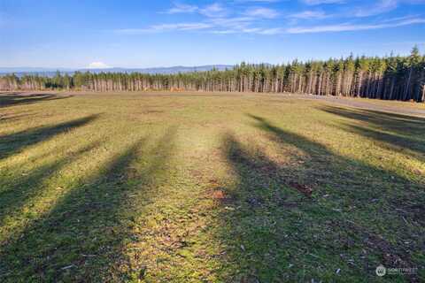 Lot H Silverwood Drive, Castle Rock, WA 98611