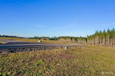 Lot E2 Silverwood Drive, Castle Rock, WA 98611