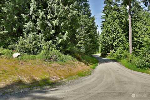 Lot E Saratoga Road, Langley, WA 98260