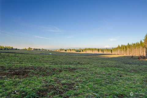 Lot C2 Silverwood Drive, Castle Rock, WA 98611