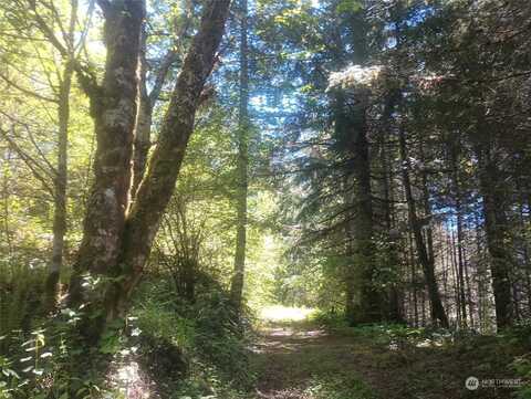 Lot 7 Buck Drive, Randle, WA 98377