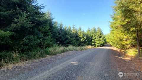 Lot 17 Grand Ridge Road, Toutle, WA 98649