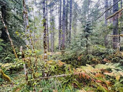 Lot 10 Nw Rhododendron Court, Bremerton, WA 98312